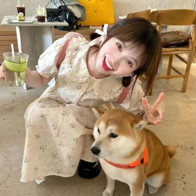 花予野兽 第二季